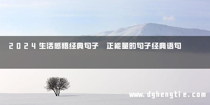 2024生活感悟经典句子 正能量的句子经典语句
